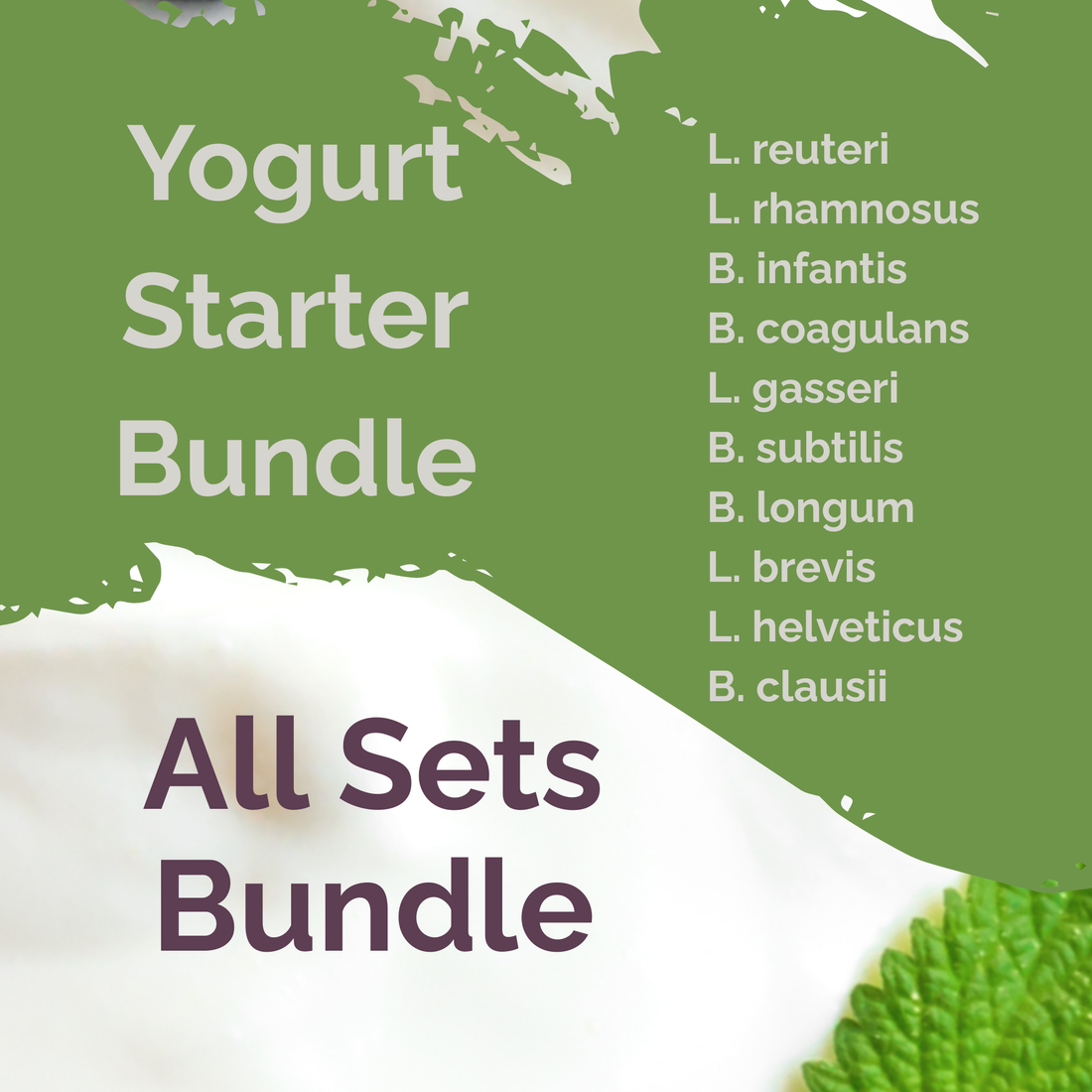 Rebuild the microbiome with lost species – With yogurt from L. reuteri, L. brevis, L. helveticus, B. clausii yogurt